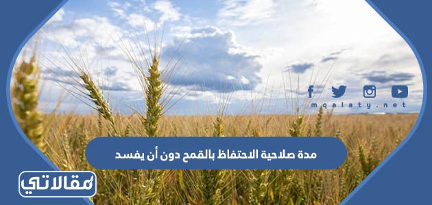 مدة صلاحية الاحتفاظ بالقمح دون أن يفسد