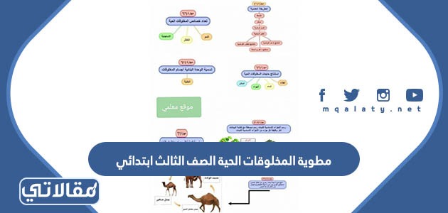 مطوية المخلوقات الحية الصف الثالث ابتدائي