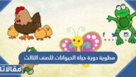 مطوية دورة حياة الحيوانات للصف الثالث جاهزة للطباعة