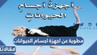 مطوية عن اجهزة اجسام الحيوانات جاهزة للطباعة PDF
