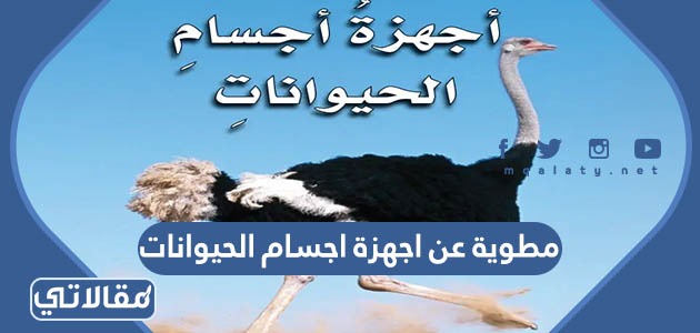 مطوية عن اجهزة اجسام الحيوانات