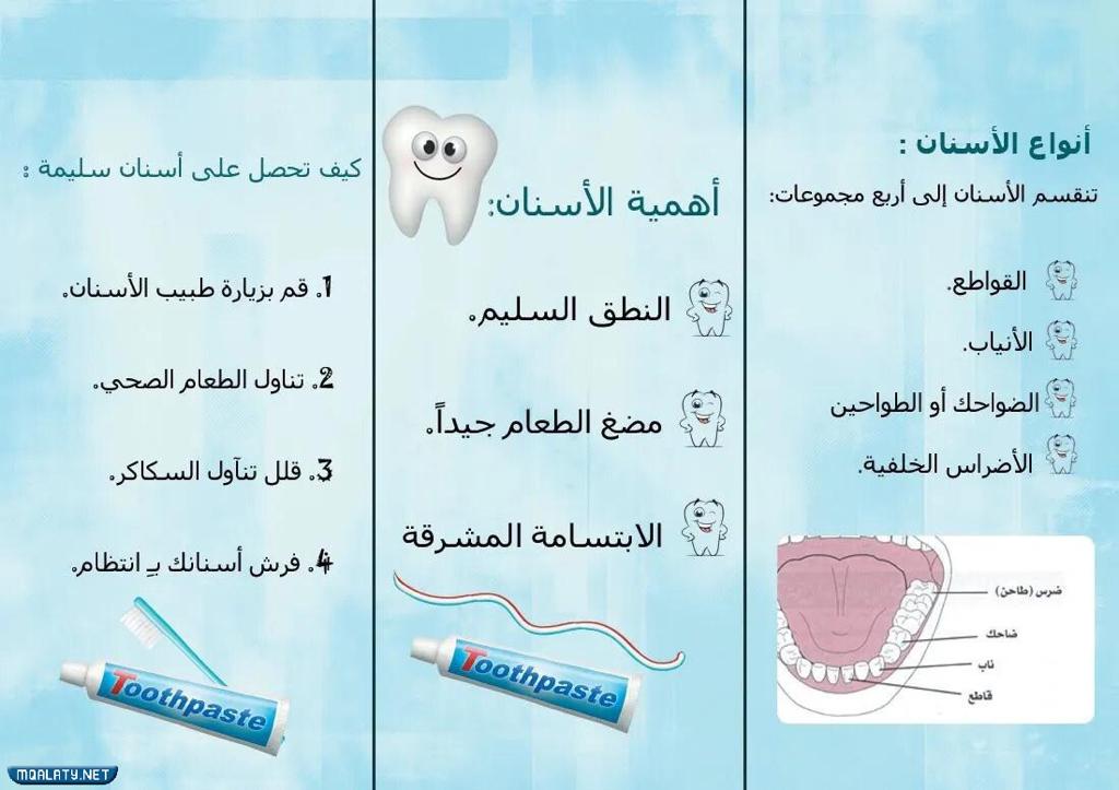 مطوية عن الأسنان للاطفال
