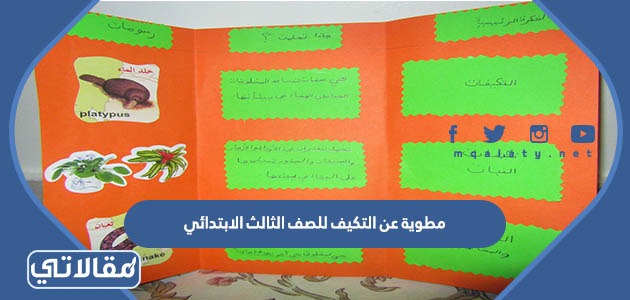 مطوية عن التكيف للصف الثالث الابتدائي