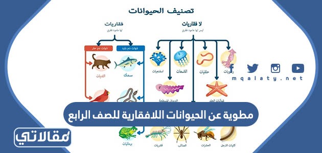 مطوية عن الحيوانات اللافقارية للصف الرابع