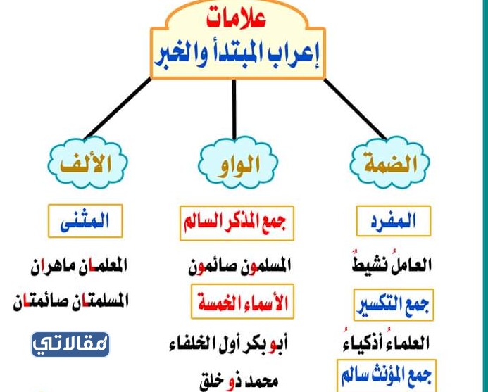 مطوية عن العلامات الفرعية للمبتدأ والخبر