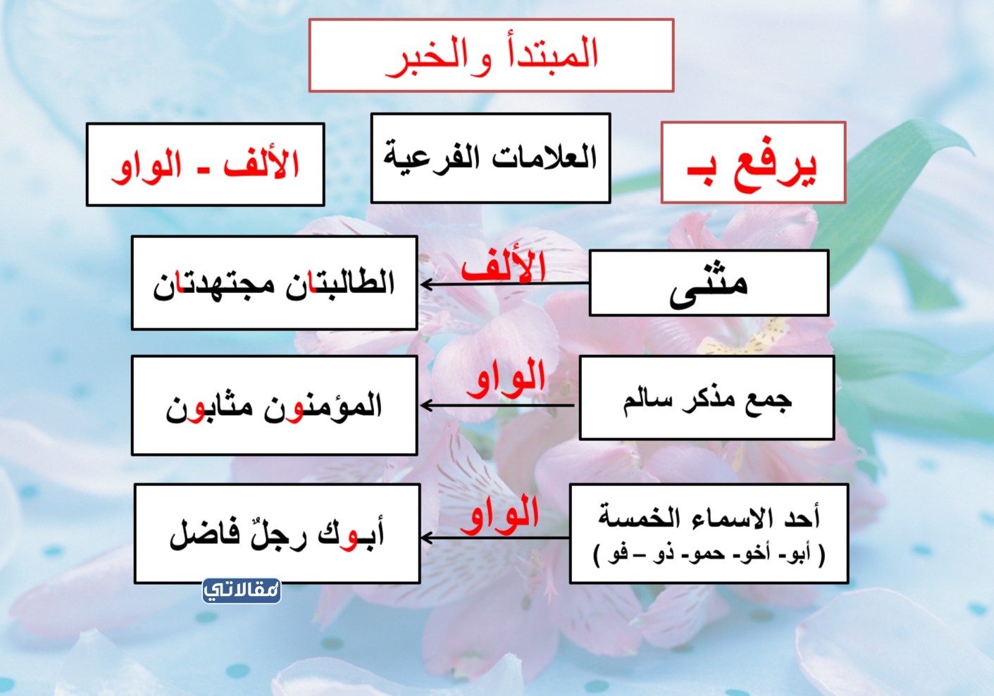 مطوية عن العلامات الفرعية للمبتدأ والخبر