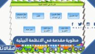 مطوية مقدمة في الانظمة البيئية جاهزة للتحميل والطباعة