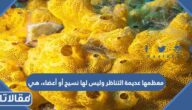 معظمها عديمة التناظر وليس لها نسيج أو أعضاء، هي