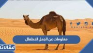 معلومات عن الجمل للاطفال غريبة وجديدة
