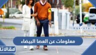 معلومات عن العصا البيضاء ومخترعها