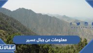 معلومات عن جبال عسير وموقعها
