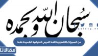 من المميزات التشكيلية للخط العربي الطواعية الشديدة فقط