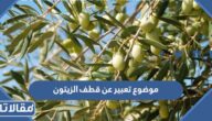 موضوع تعبير عن قطف الزيتون كامل مع العناصر