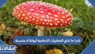 نادرا ما تنتج الفطريات الدعامية أبواغا لا جنسية.