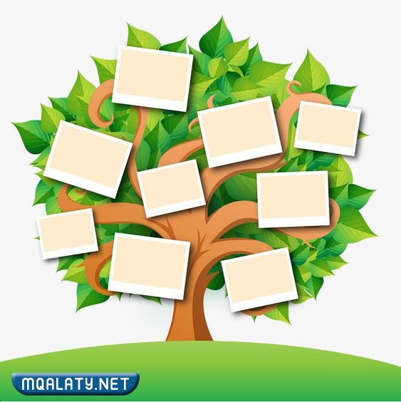 نماذج خرائط مفاهيم فارغة