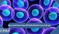 نمو خلايا جديدة ملتصقة بالخلية الأم وبعد فترة تنفصل عنها