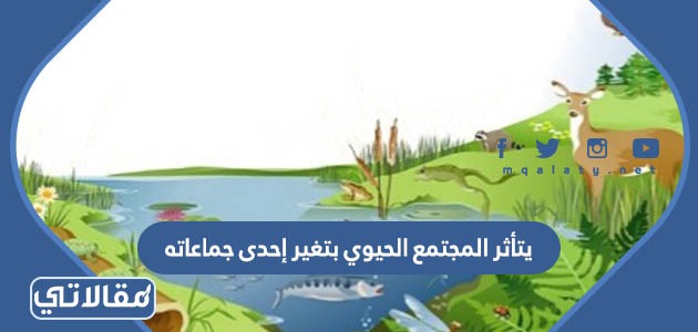 يتأثر المجتمع الحيوي بتغير إحدى جماعاته