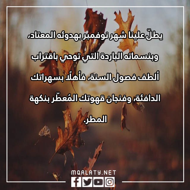 عبارات عن شهر نوفمبر مكتوبة مع الصور