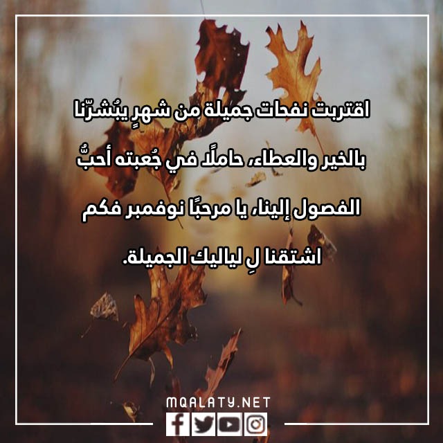 عبارات عن شهر نوفمبر مكتوبة مع الصور