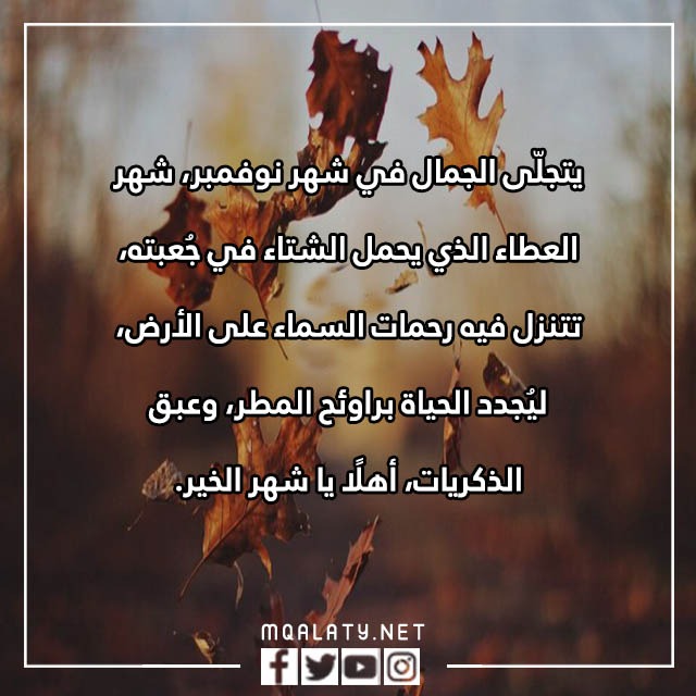 عبارات عن شهر نوفمبر مكتوبة مع الصور