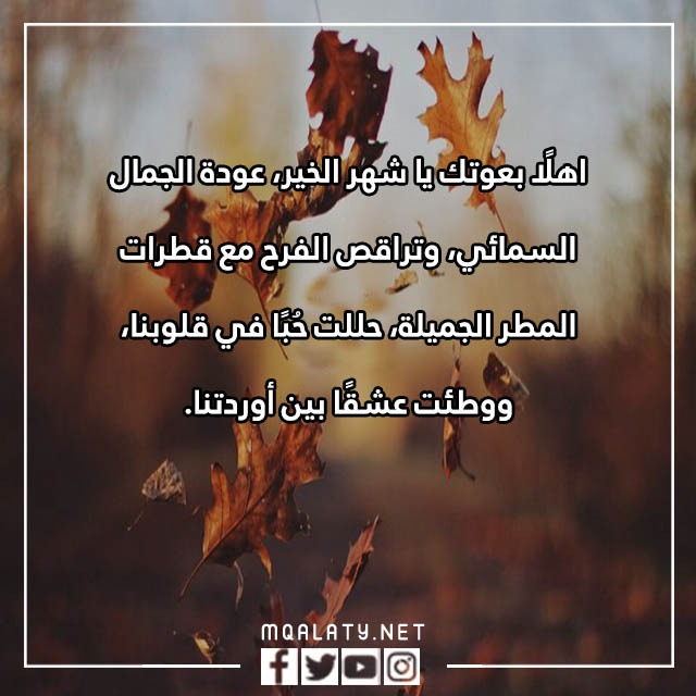 عبارات عن شهر نوفمبر مكتوبة مع الصور