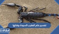 تفسير حلم العقرب السوداء وقتلها