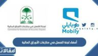 قائمة أعضاء لجنة الفصل في منازعات الأوراق المالية