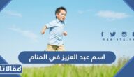 اسم عبد العزيز في المنام لابن سيرين