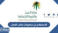 طريقة الاستعلام عن مدفوعات مكتب العمل السعودي 1444 بالخطوات