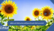 الانتشار مفيد للنباتات البذرية، لأنه يمنع التنافس فيما بين النباتات الجديدة وآبائها