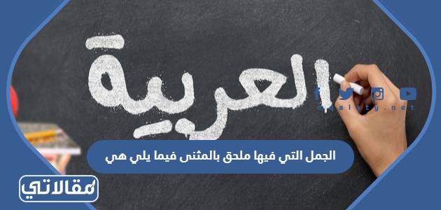 الجمل التي فيها ملحق بالمثنى فيما يلي هي