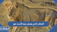 المكان الذي يعيش فيه الأسد هو