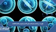 الهدف من الانقسام المتساوي النمو وتعويض الخلايا التالفة