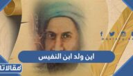 اين ولد ابن النفيس
