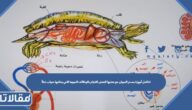 تتكامل أجهزة جسم الحيوان مع بعضها البعض للقيام بالوظائف الحيوية التي يحتاجها، صواب  أم خطأ