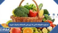 تستورد الفواكه التي لا تزرع في المملكه بكميات كبيره