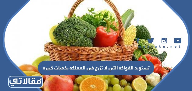 تستورد الفواكه التي لا تزرع في المملكه بكميات كبيره