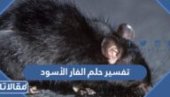 تفسير حلم الفار الأسود
