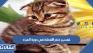 تفسير حلم القطط في دورة المياه