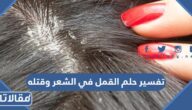 تفسير حلم القمل في الشعر وقتله