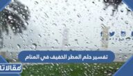 تفسير حلم المطر الخفيف في المنام