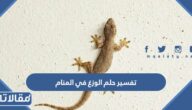 تفسير حلم الوزغ في المنام للعزباء والمتزوجة والمطلقة والحامل