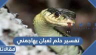 تفسير حلم ثعبان يهاجمني