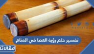 تفسير حلم رؤية العصا في المنام
