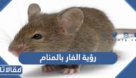 تفسير حلم رؤية الفار بالمنام