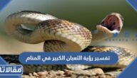 تفسير رؤية الثعبان الكبير في المنام للعزباء والمتزوجة والحامل بالتفصيل