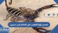 تفسير رؤية العقرب في المنام لابن سيرين