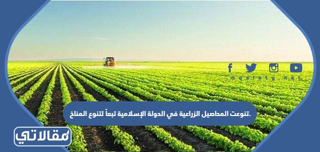 تنوعت المحاصيل الزراعية في الدولة الإسلامية تبعاً لتنوع المناخ.