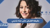 حقيقة القبض على منة شلبي في مطار القاهرة