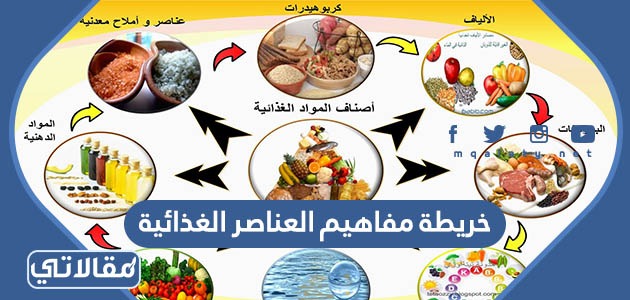 خريطة مفاهيم العناصر الغذائية